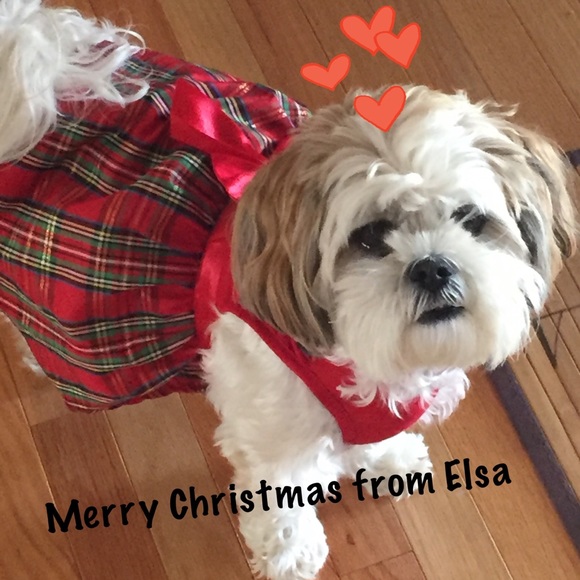 Meet your Posher, Debra - Picture 5 of 5